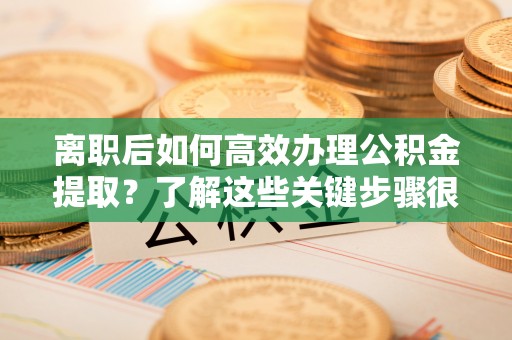 宝丰离职后如何高效办理公积金提取？了解这些关键步骤很重要！
