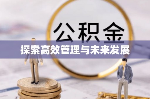 宝丰探索高效管理与未来发展