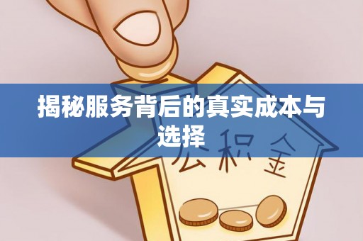 宝丰揭秘服务背后的真实成本与选择