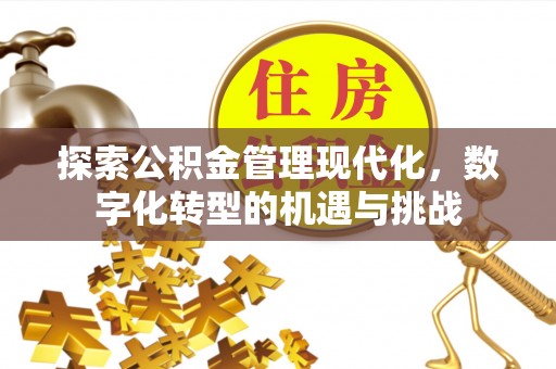 宝丰探索公积金管理现代化，数字化转型的机遇与挑战