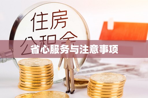 宝丰省心服务与注意事项