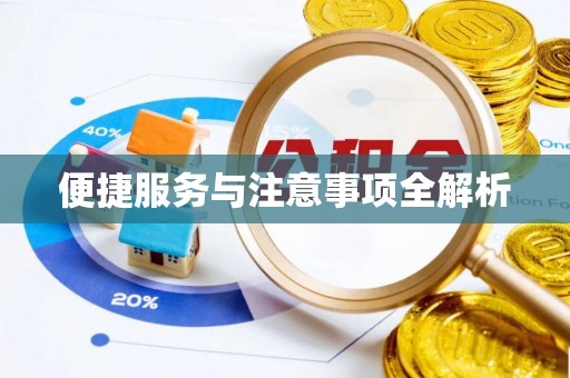 宝丰便捷服务与注意事项全解析