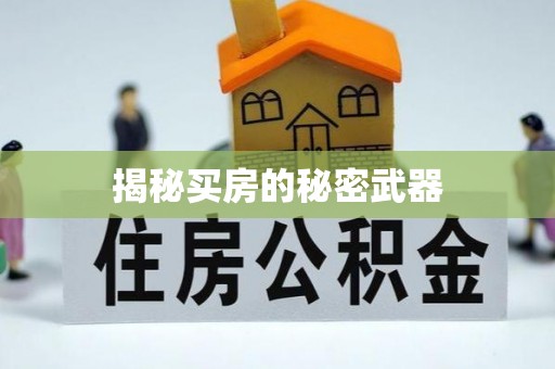 宝丰揭秘买房的秘密武器