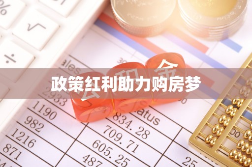 宝丰政策红利助力购房梦