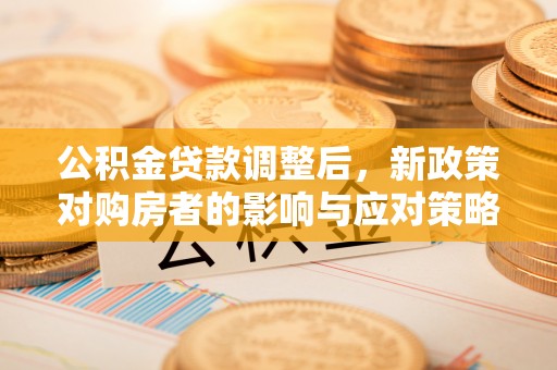 宝丰公积金贷款调整后，新政策对购房者的影响与应对策略