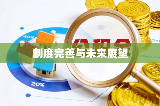 宝丰制度完善与未来展望