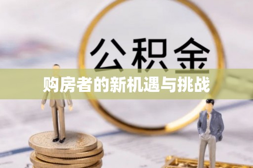 宝丰购房者的新机遇与挑战