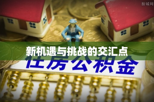 宝丰新机遇与挑战的交汇点