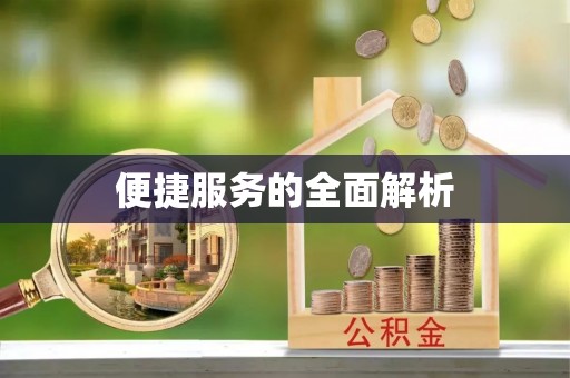 宝丰便捷服务的全面解析