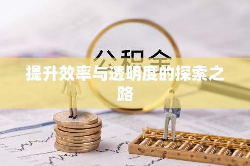 宝丰提升效率与透明度的探索之路