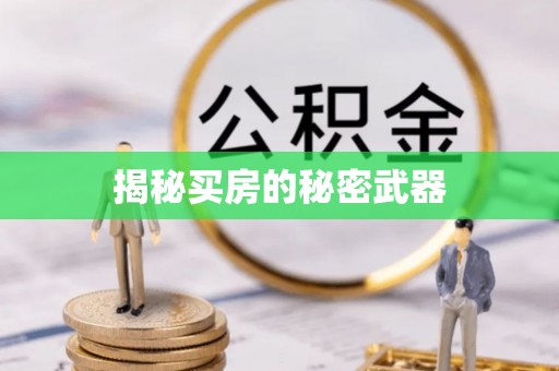 宝丰揭秘买房的秘密武器