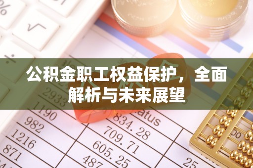宝丰公积金职工权益保护，全面解析与未来展望