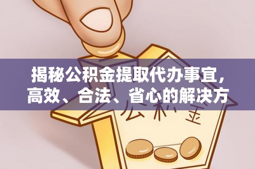 宝丰揭秘公积金提取代办事宜，高效、合法、省心的解决方案
