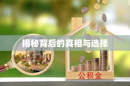 宝丰揭秘背后的真相与选择