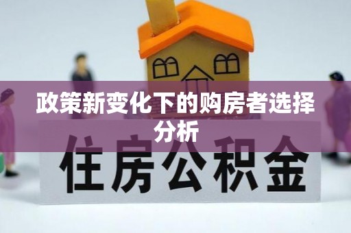 宝丰政策新变化下的购房者选择分析