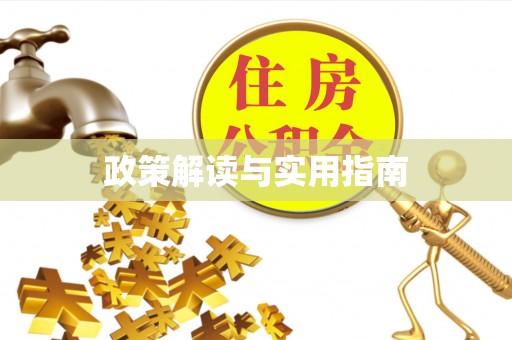 宝丰政策解读与实用指南