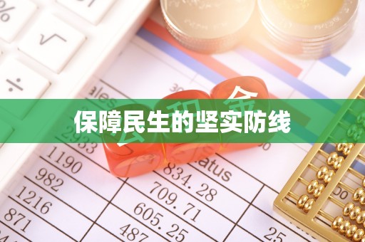 宝丰保障民生的坚实防线
