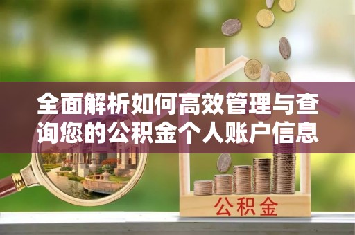 宝丰全面解析如何高效管理与查询您的公积金个人账户信息