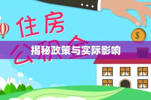 宝丰揭秘政策与实际影响
