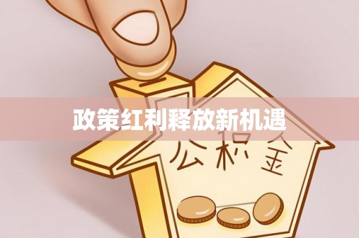 宝丰政策红利释放新机遇