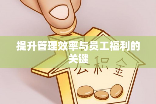宝丰提升管理效率与员工福利的关键