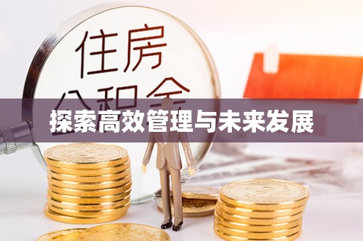 宝丰探索高效管理与未来发展
