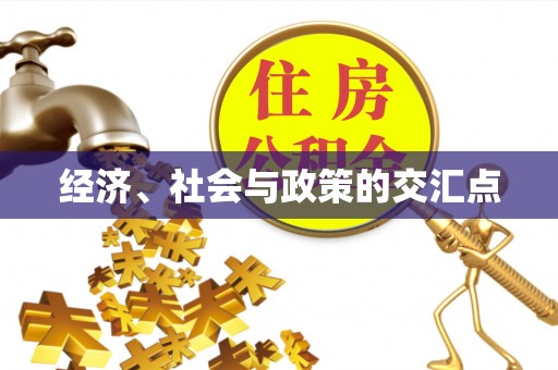 宝丰经济、社会与政策的交汇点