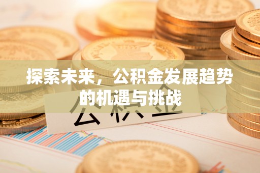 宝丰探索未来，公积金发展趋势的机遇与挑战