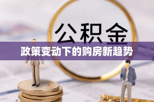 宝丰政策变动下的购房新趋势