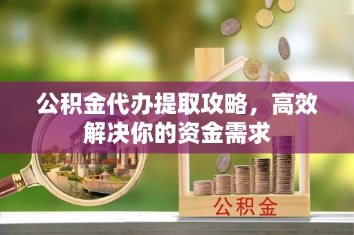 宝丰公积金代办提取攻略，高效解决你的资金需求