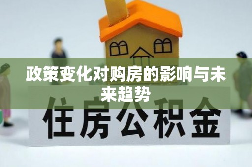 宝丰政策变化对购房的影响与未来趋势