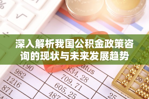 宝丰深入解析我国公积金政策咨询的现状与未来发展趋势