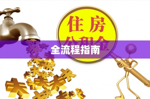 宝丰全流程指南