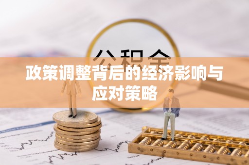 宝丰政策调整背后的经济影响与应对策略