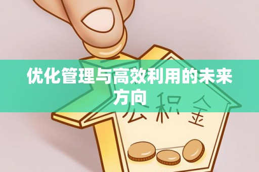 宝丰优化管理与高效利用的未来方向