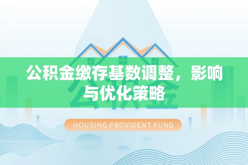 宝丰公积金缴存基数调整，影响与优化策略