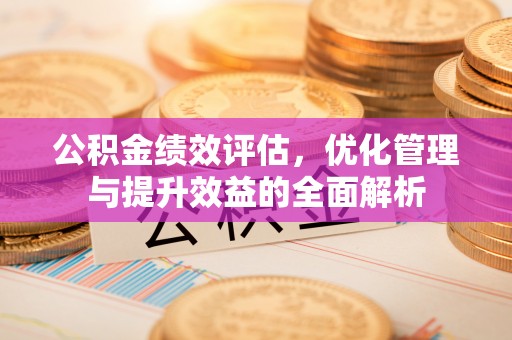 宝丰公积金绩效评估，优化管理与提升效益的全面解析