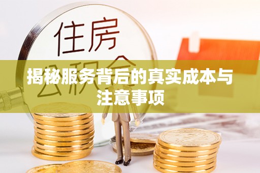 宝丰揭秘服务背后的真实成本与注意事项