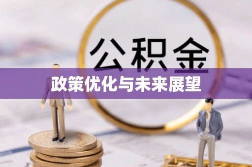 宝丰政策优化与未来展望