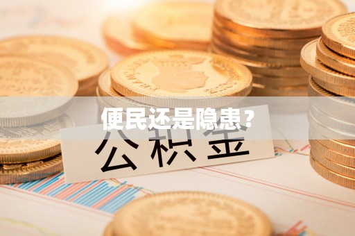 宝丰便民还是隐患？