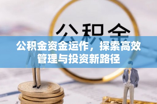 宝丰公积金资金运作，探索高效管理与投资新路径