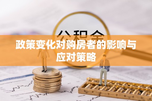 宝丰政策变化对购房者的影响与应对策略