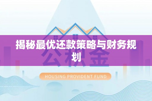 宝丰揭秘最优还款策略与财务规划