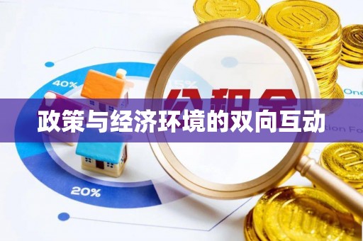 宝丰政策与经济环境的双向互动