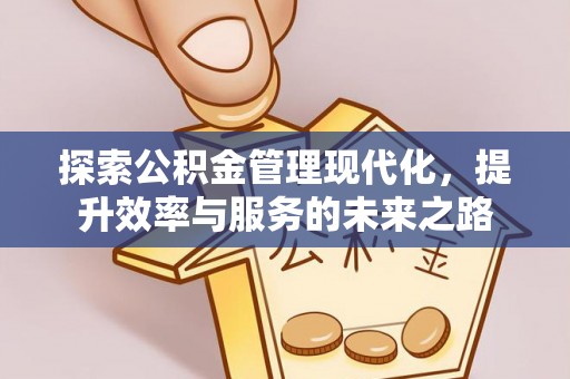 宝丰探索公积金管理现代化，提升效率与服务的未来之路