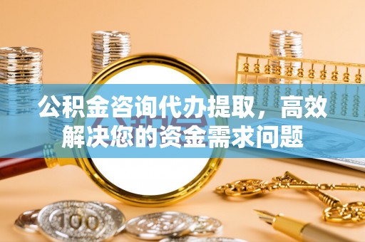 宝丰公积金咨询代办提取，高效解决您的资金需求问题