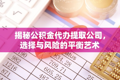 宝丰揭秘公积金代办提取公司，选择与风险的平衡艺术