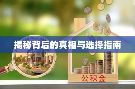 宝丰揭秘背后的真相与选择指南