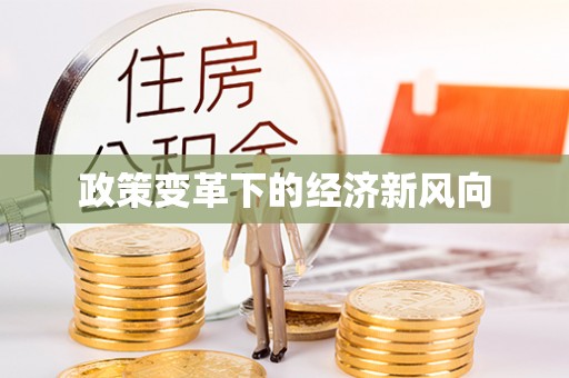 宝丰政策变革下的经济新风向