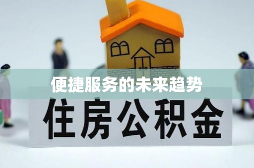 宝丰便捷服务的未来趋势